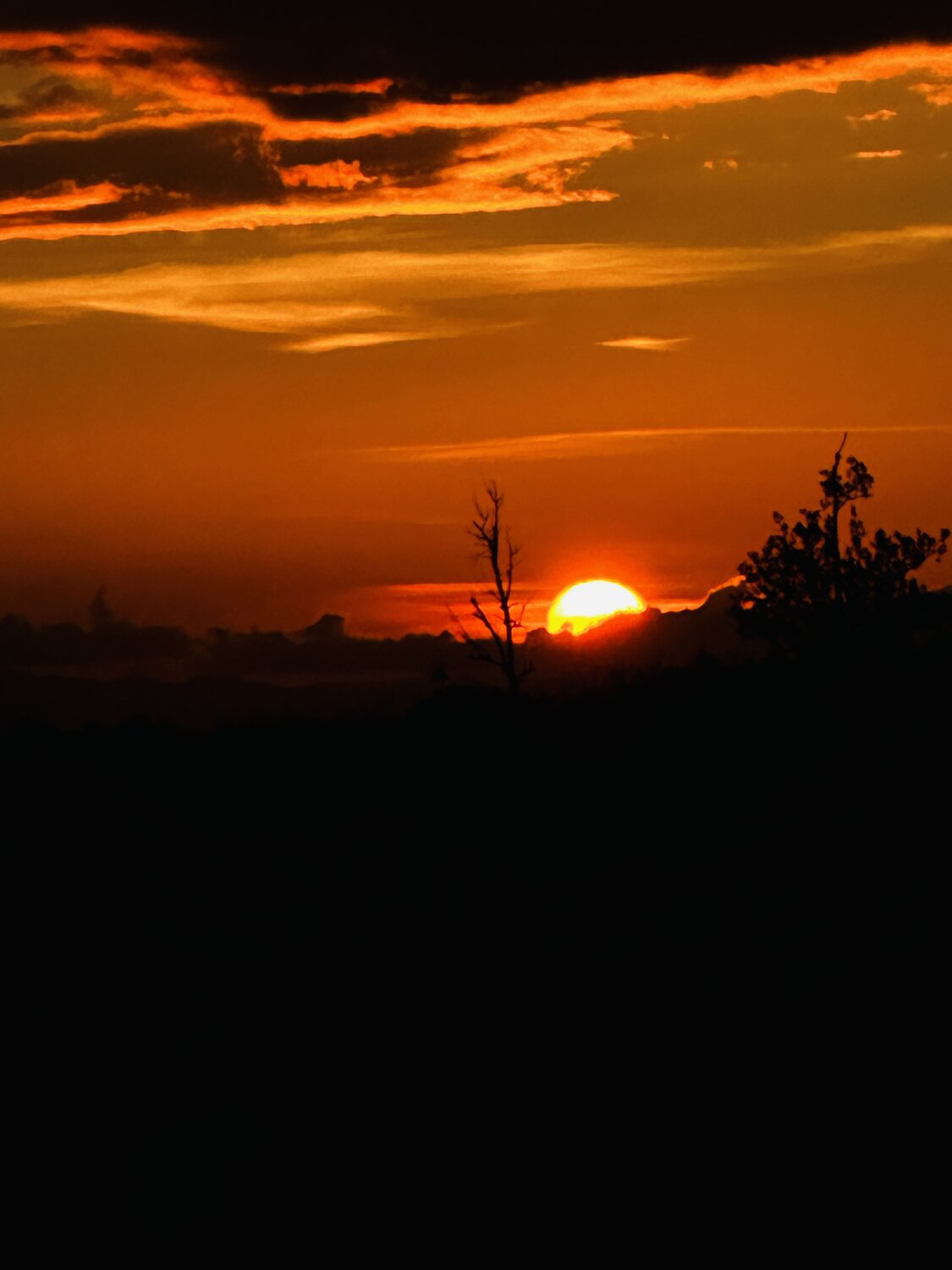 Photo #13975787