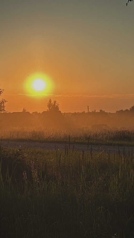 Photograph by Наталья Швед
