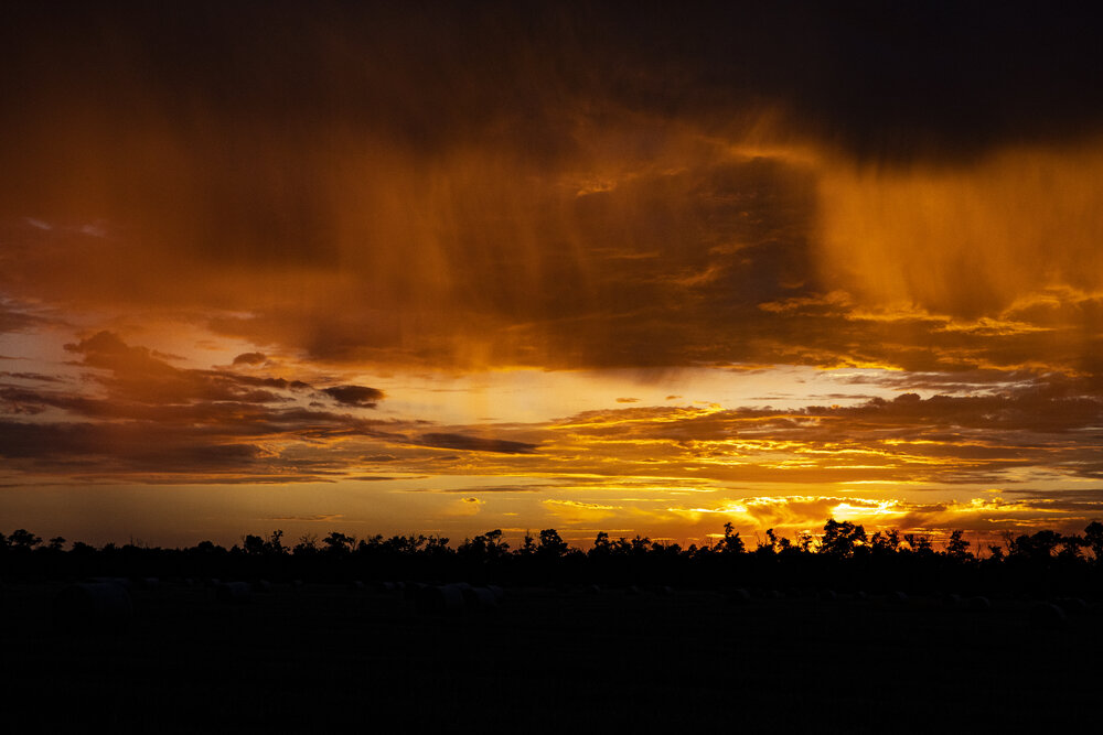 Photograph by Илья Ушак