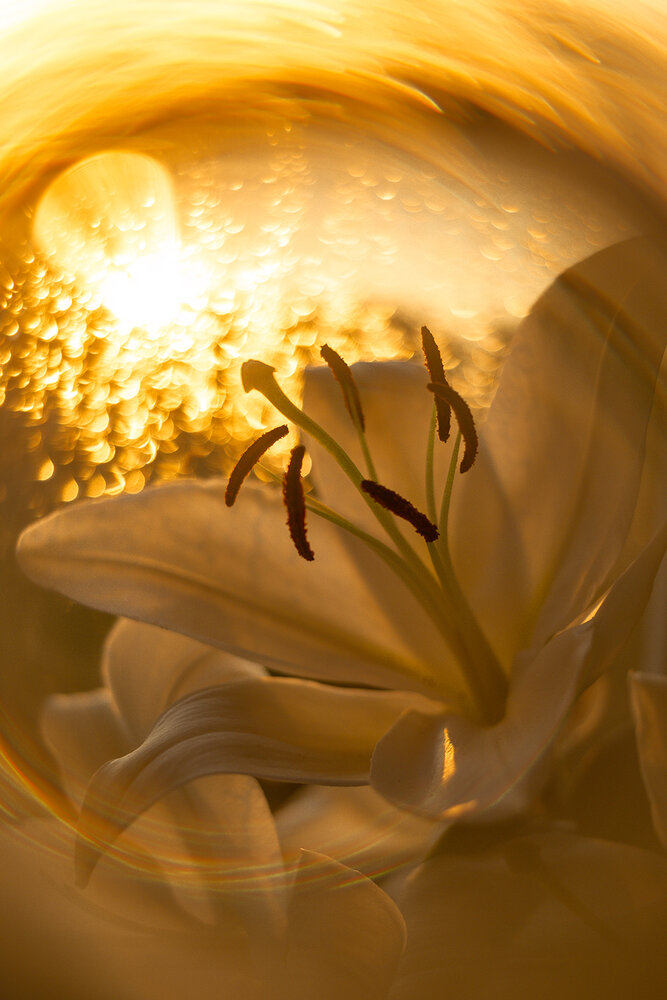 Photograph by Rimma Larkina