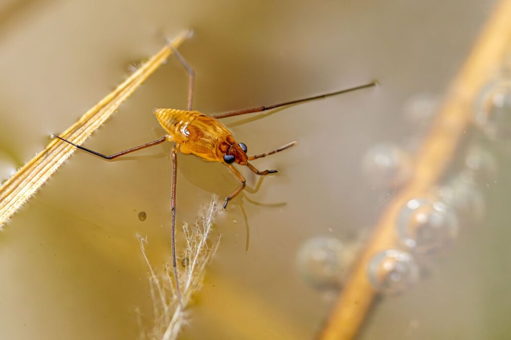 Photograph by Сергей Назаредский