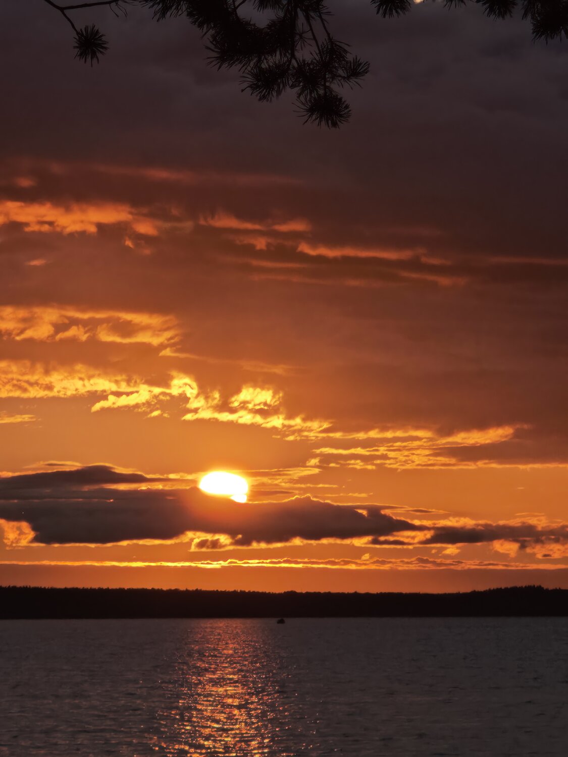 Photo #13975937