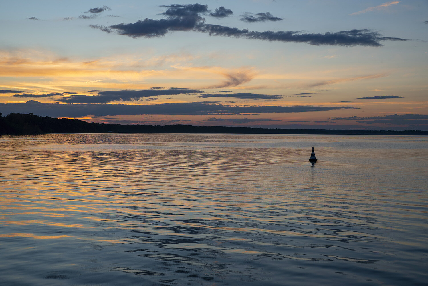 Photo #13976058