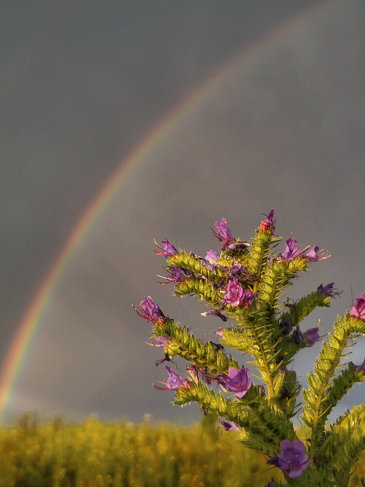 Photograph by Marina Gritchina