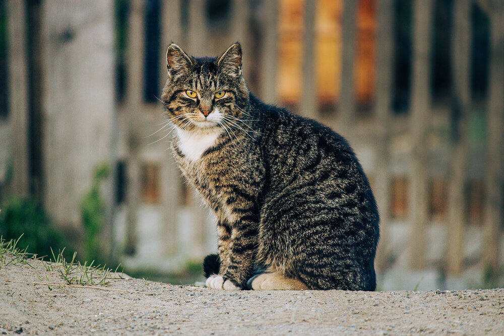 Photograph by Наталья Мухаметханова