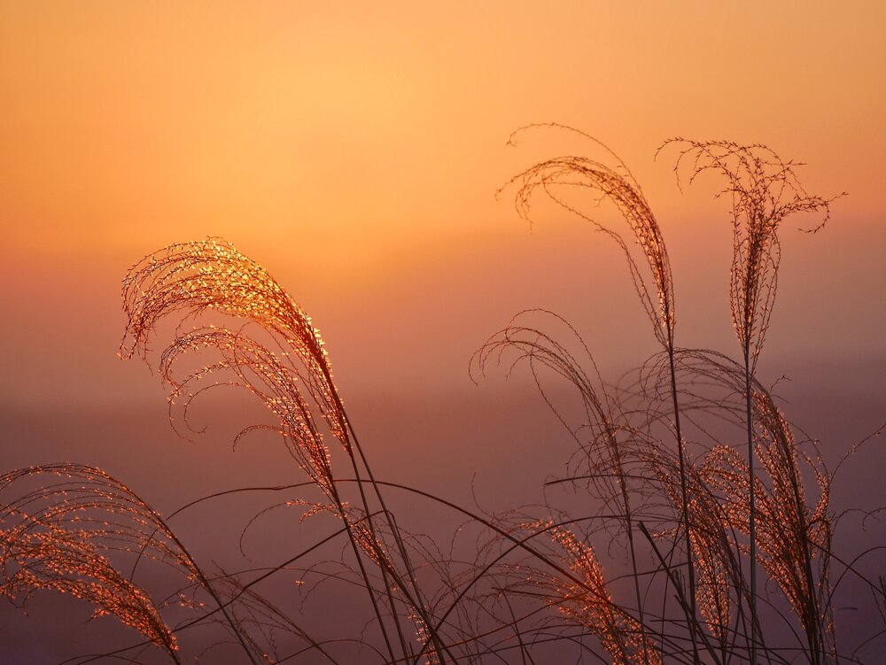 Photograph by Marina Poushkina