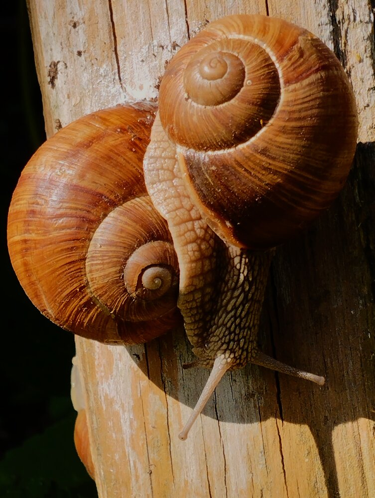 Photograph by Ия Дирко