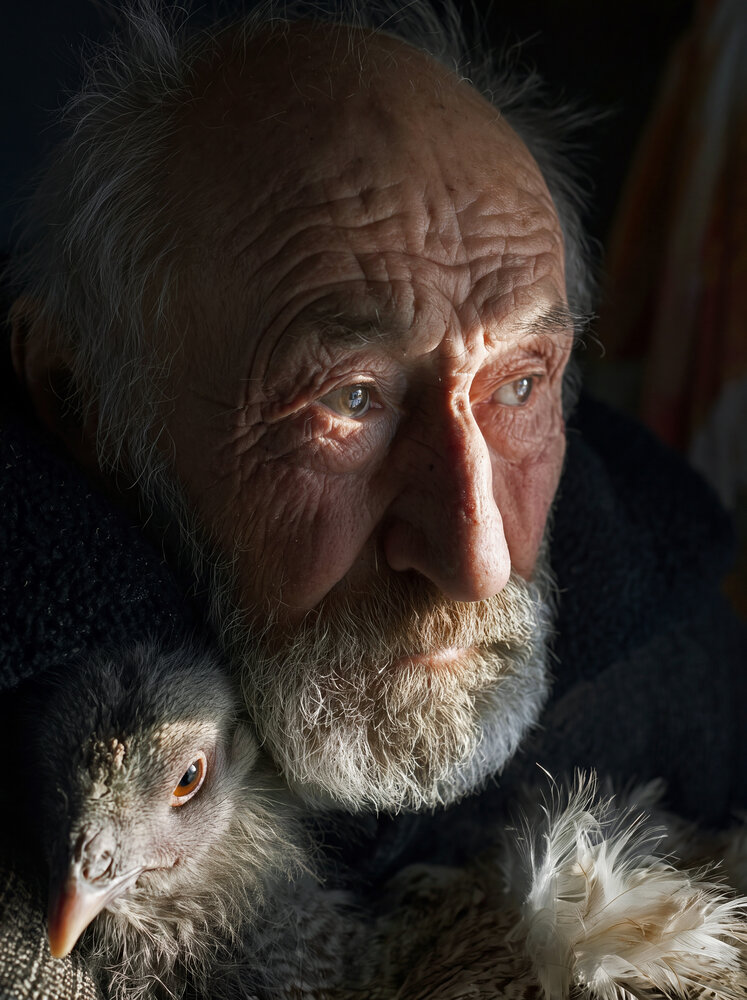 Photograph by Крапивин Алексей
