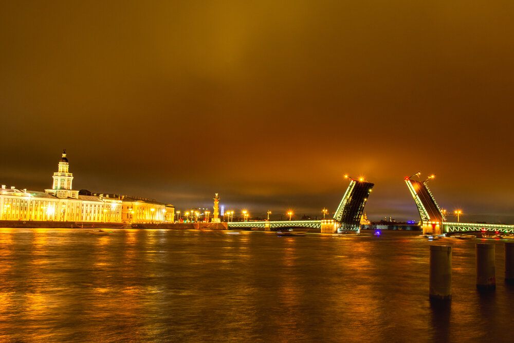 Photo #13976331