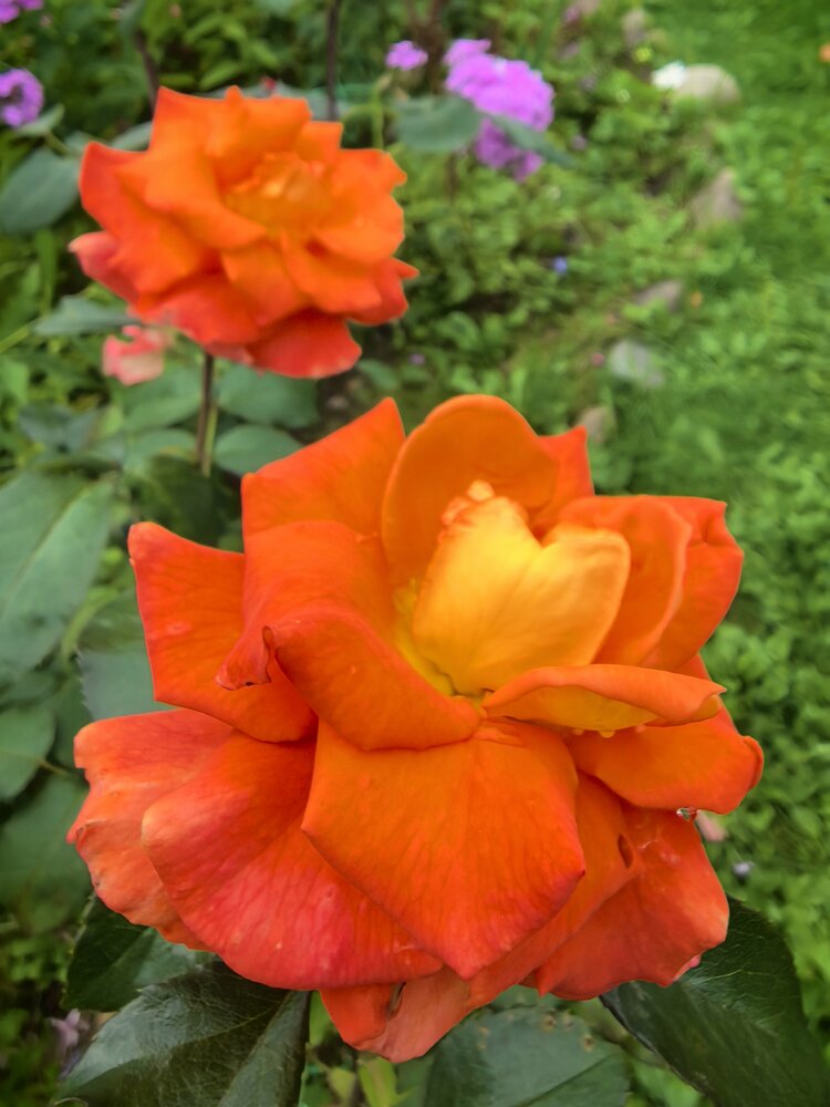 Photograph by Екатерина Борисовна Кузьмина