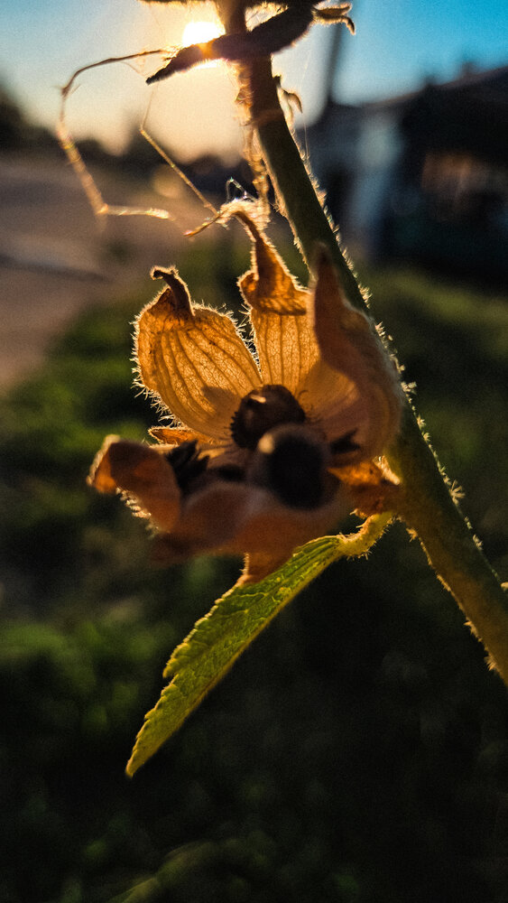 Photograph by Ольга Гетман