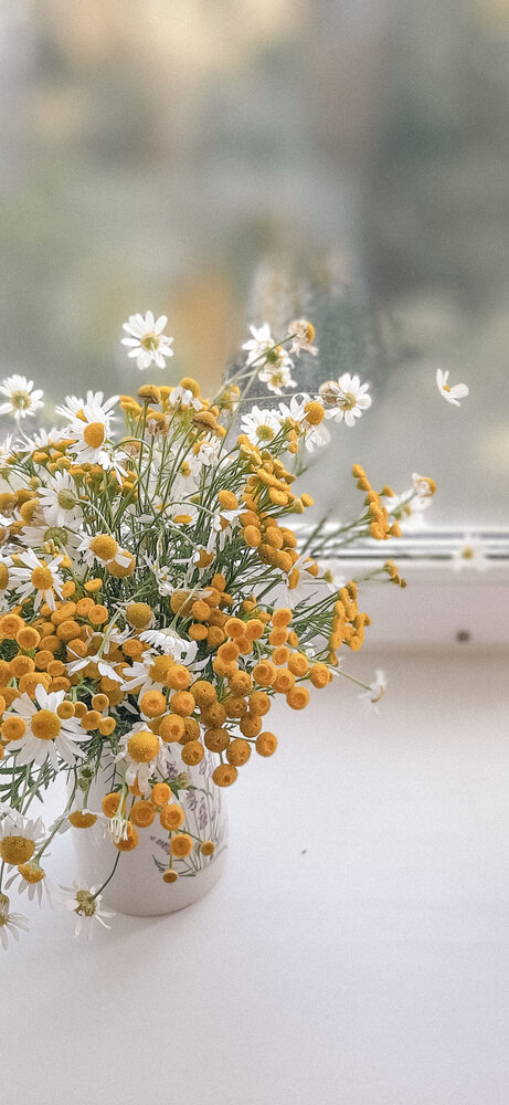 Photograph by Ольга Гетман