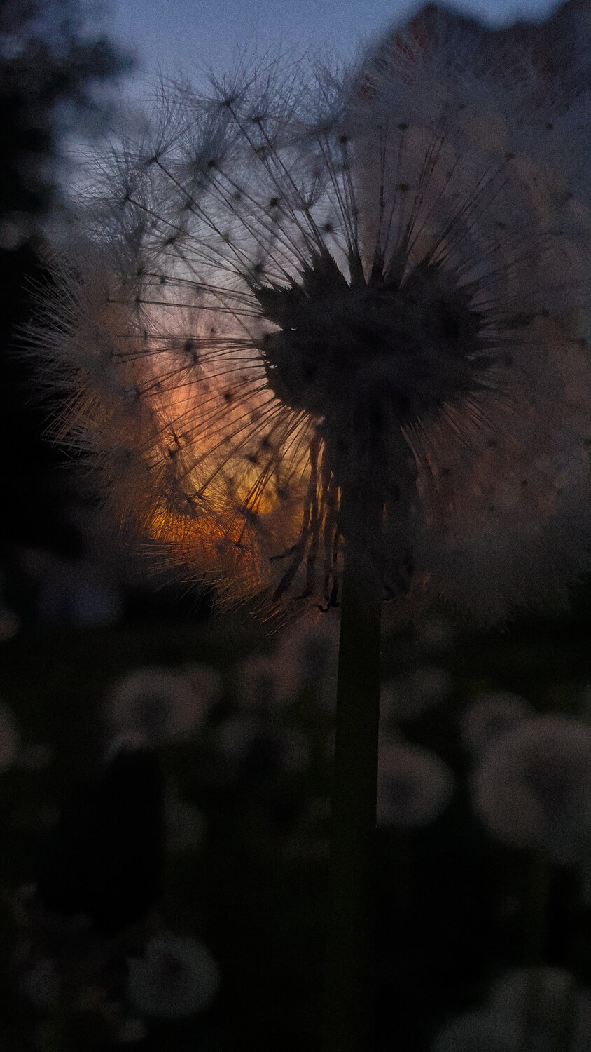 Photo #13976401