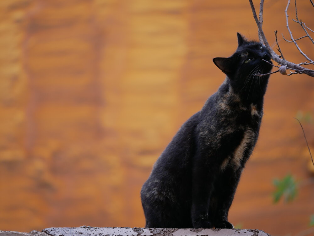 Photograph by Владимир Зубанков