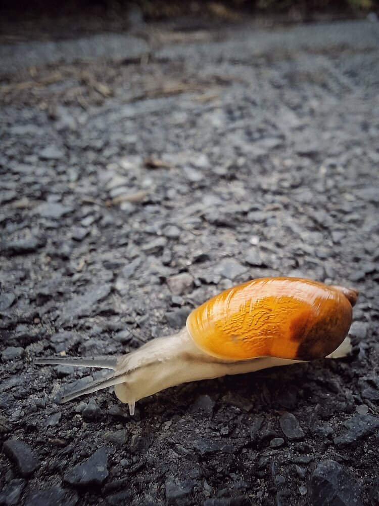 Photograph by MobigrafVDK
