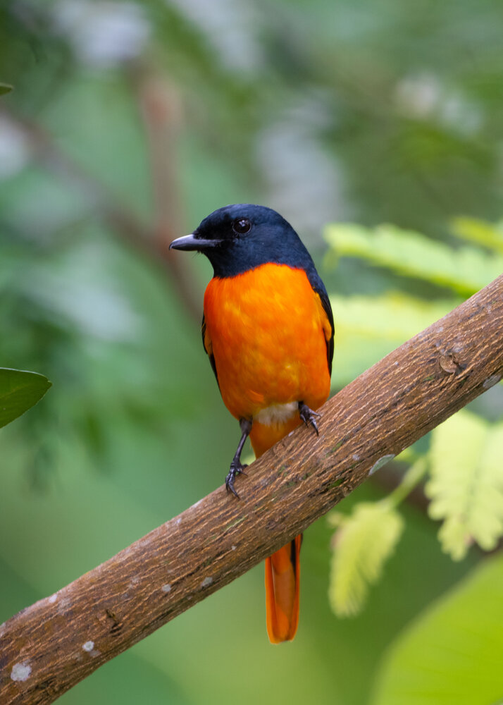 Photograph by Sathishkumar S