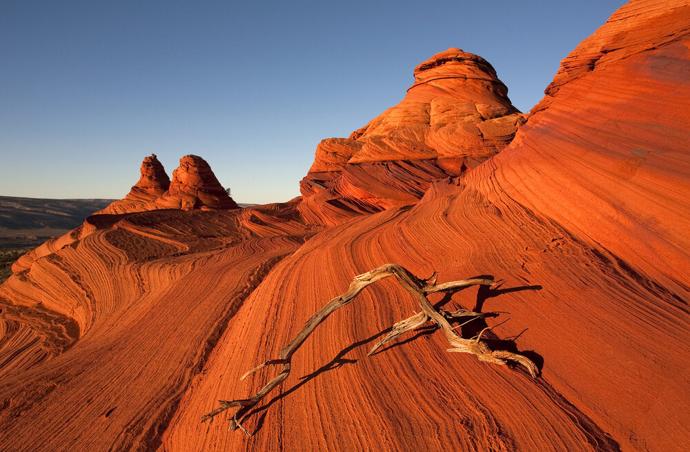 Photograph by Eugene Resh