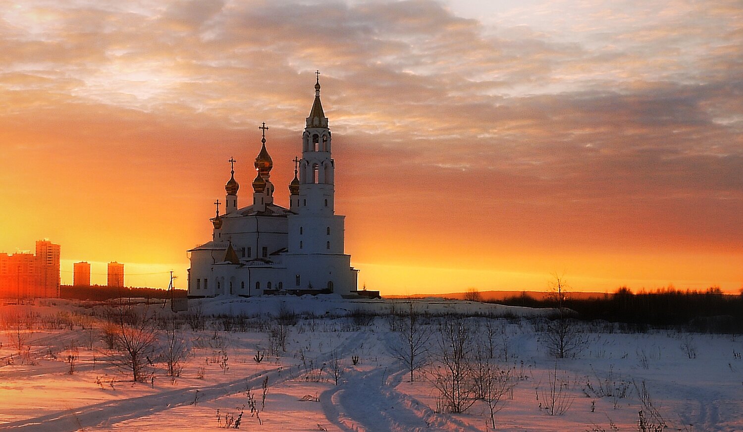Фотография #13976702