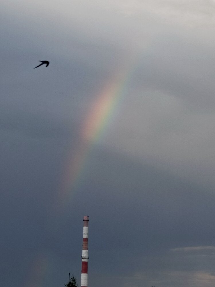 Photograph by Лида