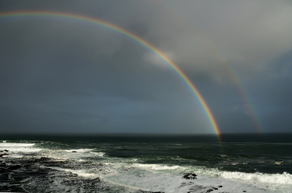 Photograph by Tony Rees