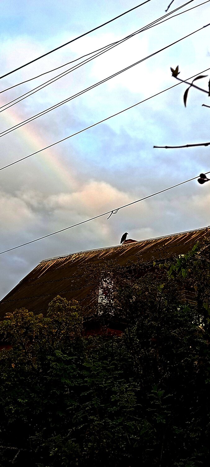 Photo #13976749
