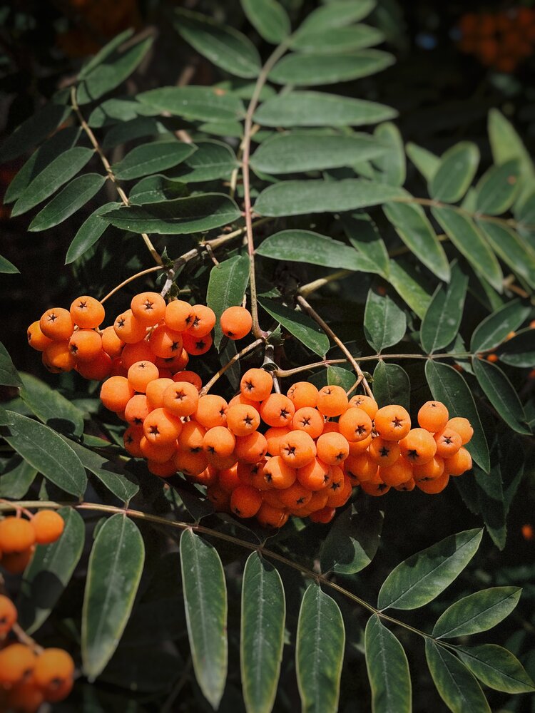 Photograph by Юлия Куклина