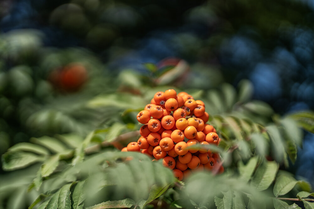 Photograph by Сергей Вячеславович