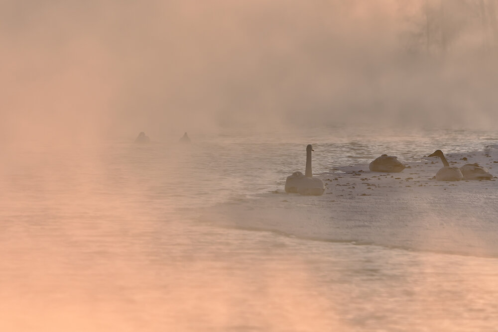 Морозное утро