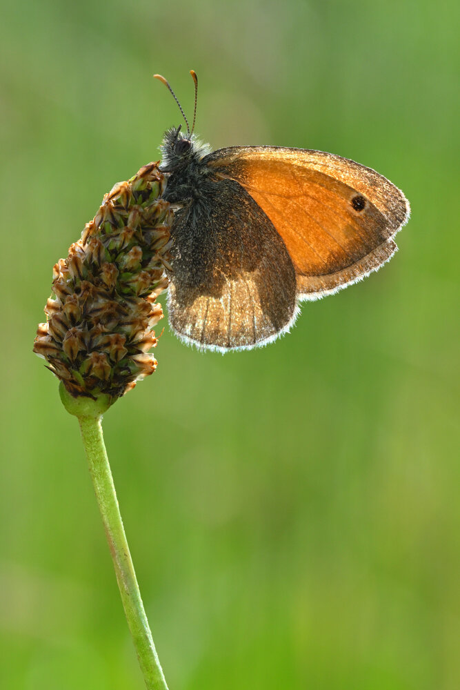 Photograph by BESPAMIATNYI Dmitry