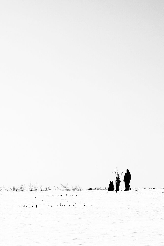 Photograph by Оксана Короткая