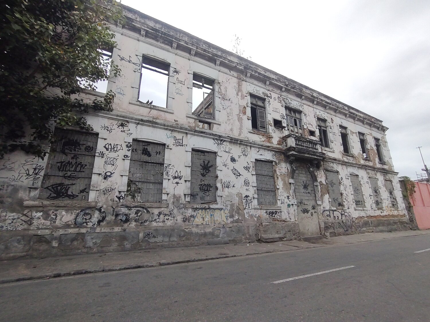 Photo #13977009
