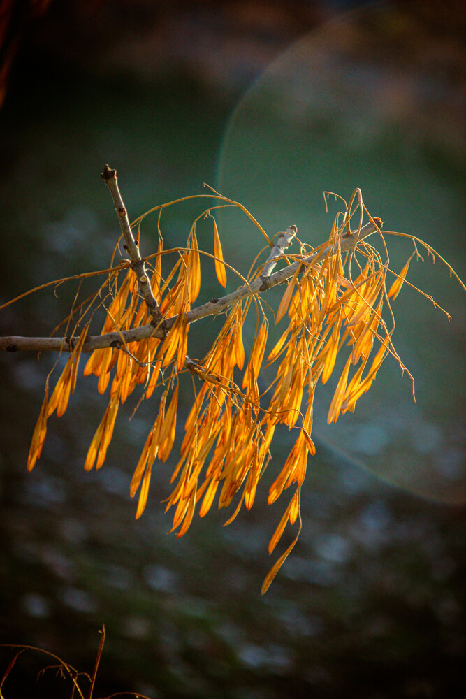 Photograph by Палкина Елена