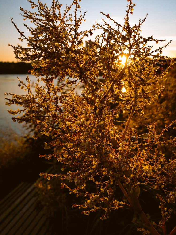 Photo #13977040