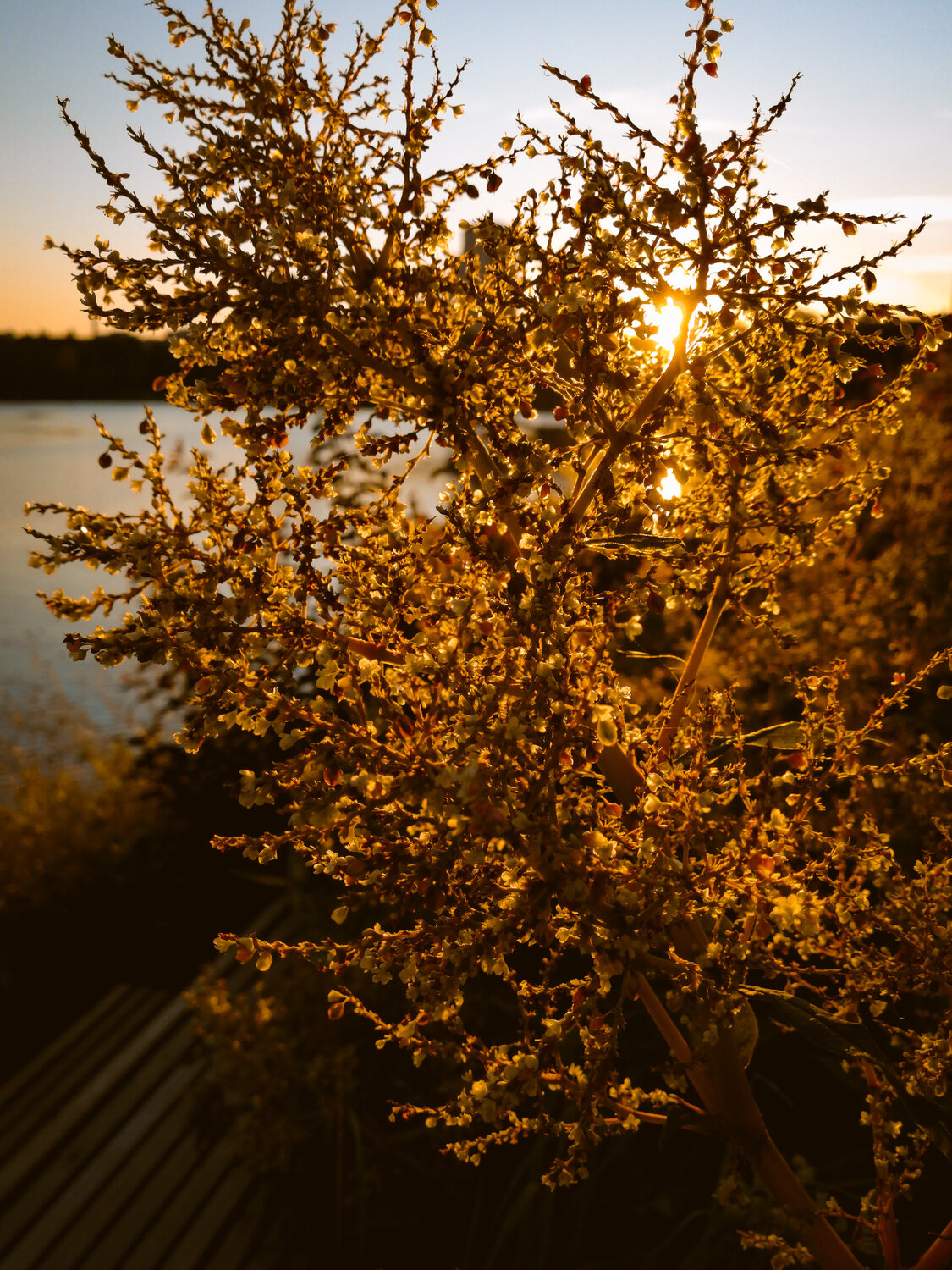 Photo #13977040