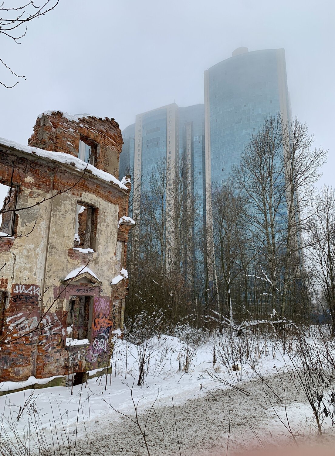 Photo #13977061