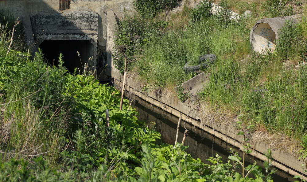 Photo #13977146