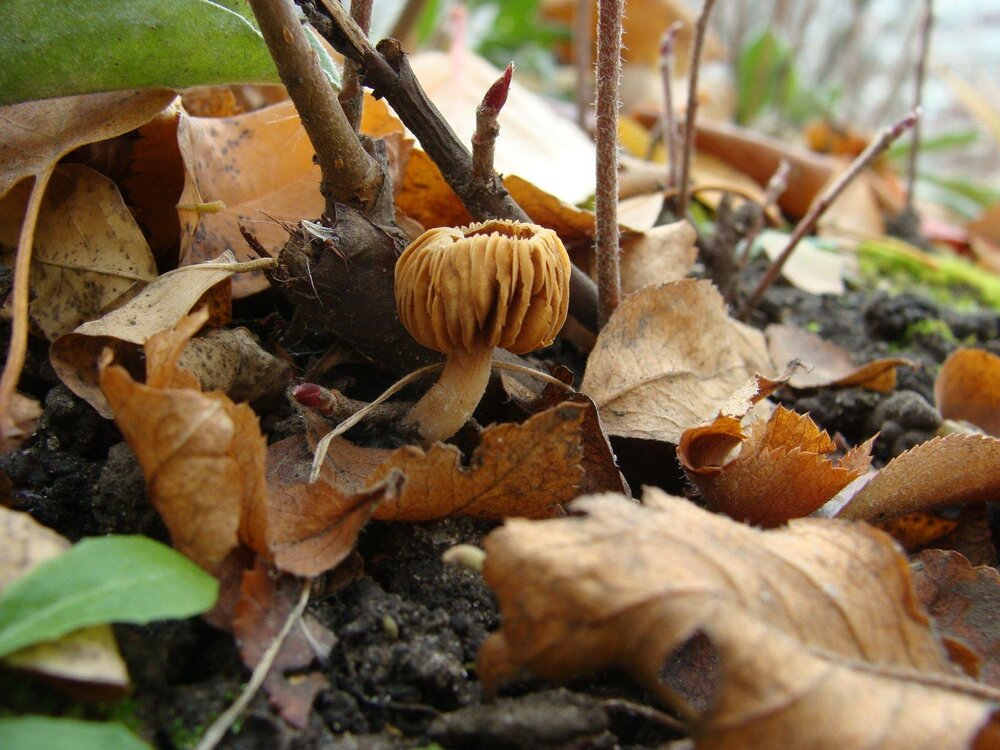 Photograph by Павел Попов