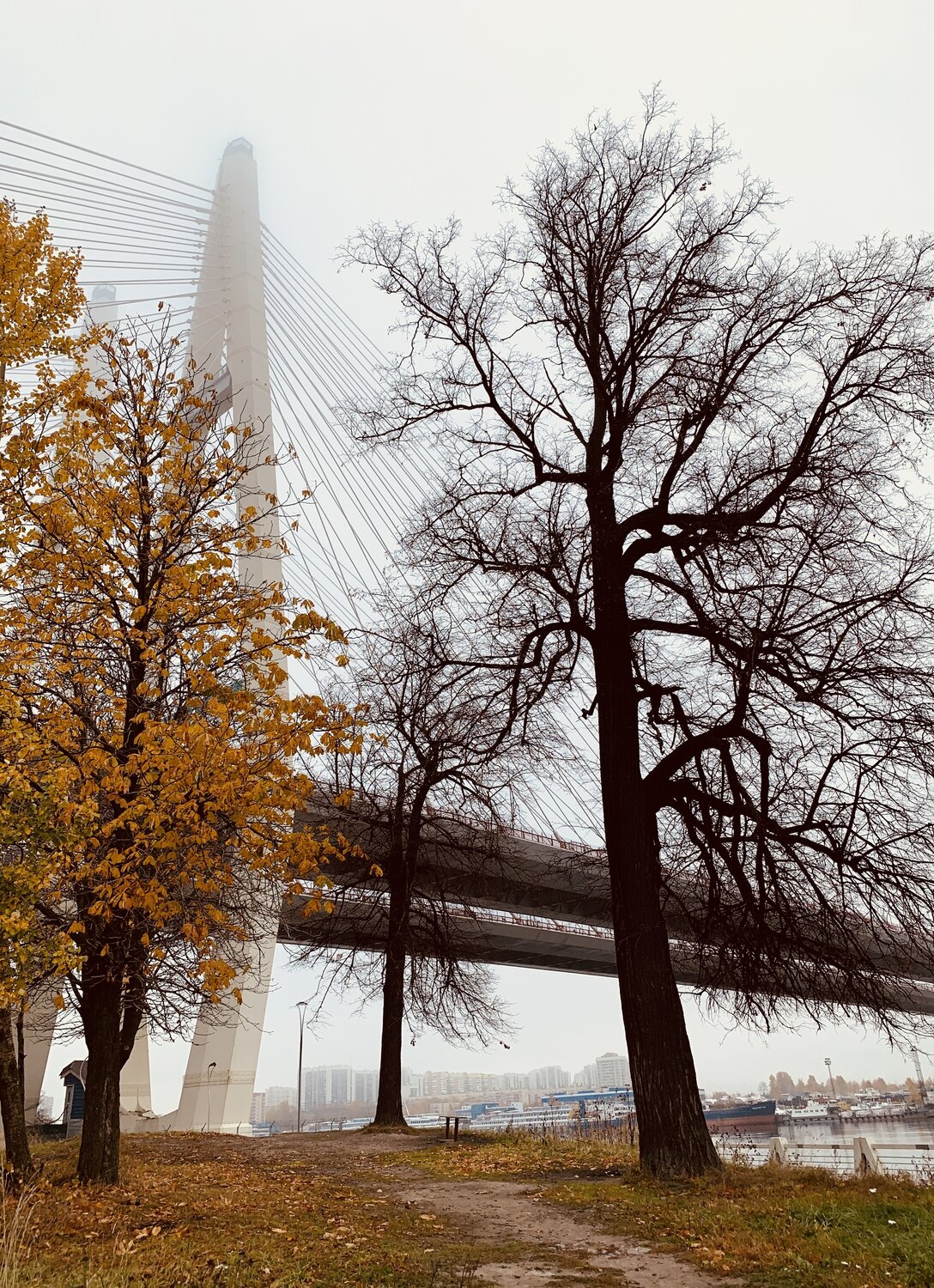 Photo #13977206