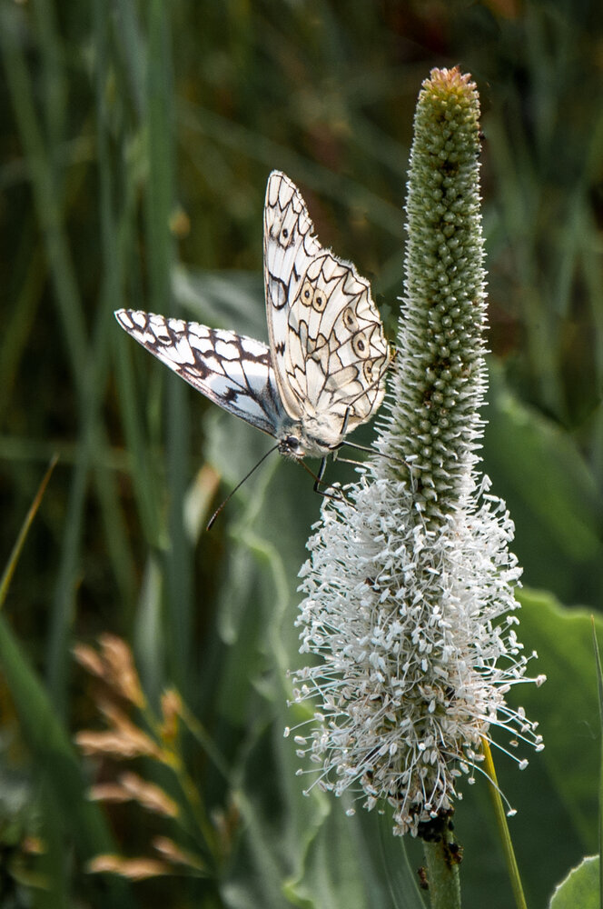 Photograph by Наталья Веселкина