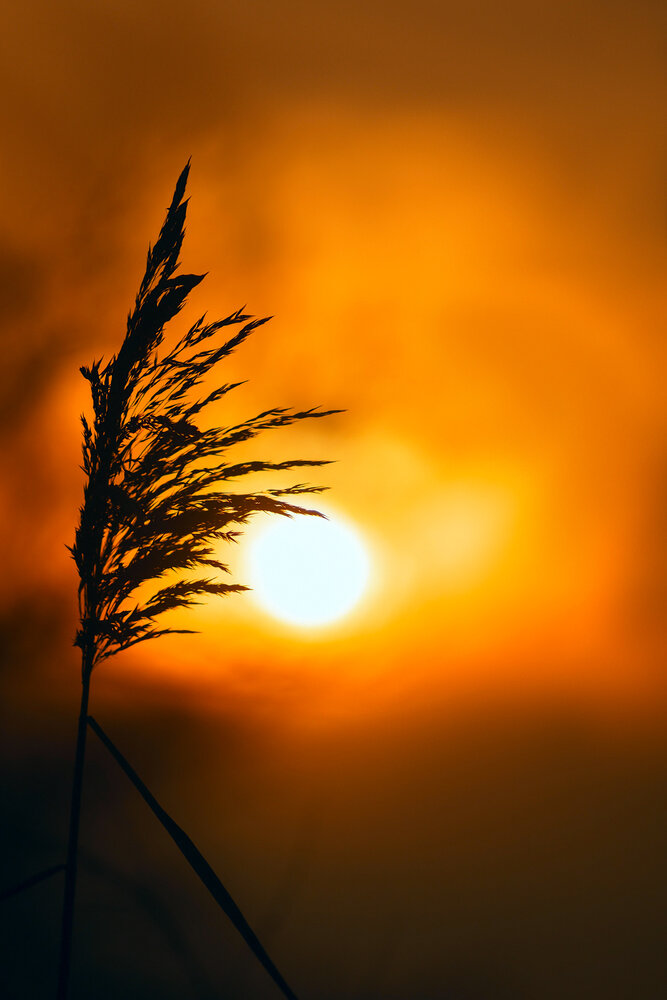 Photograph by Сергей Вячеславович