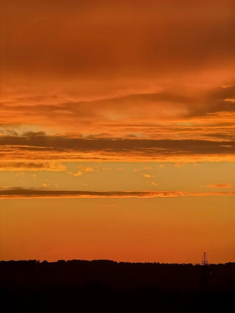 Photograph by Александра