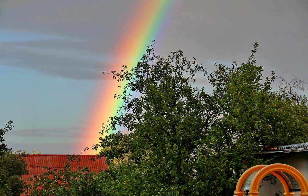 Photograph by Виталий Симоненков