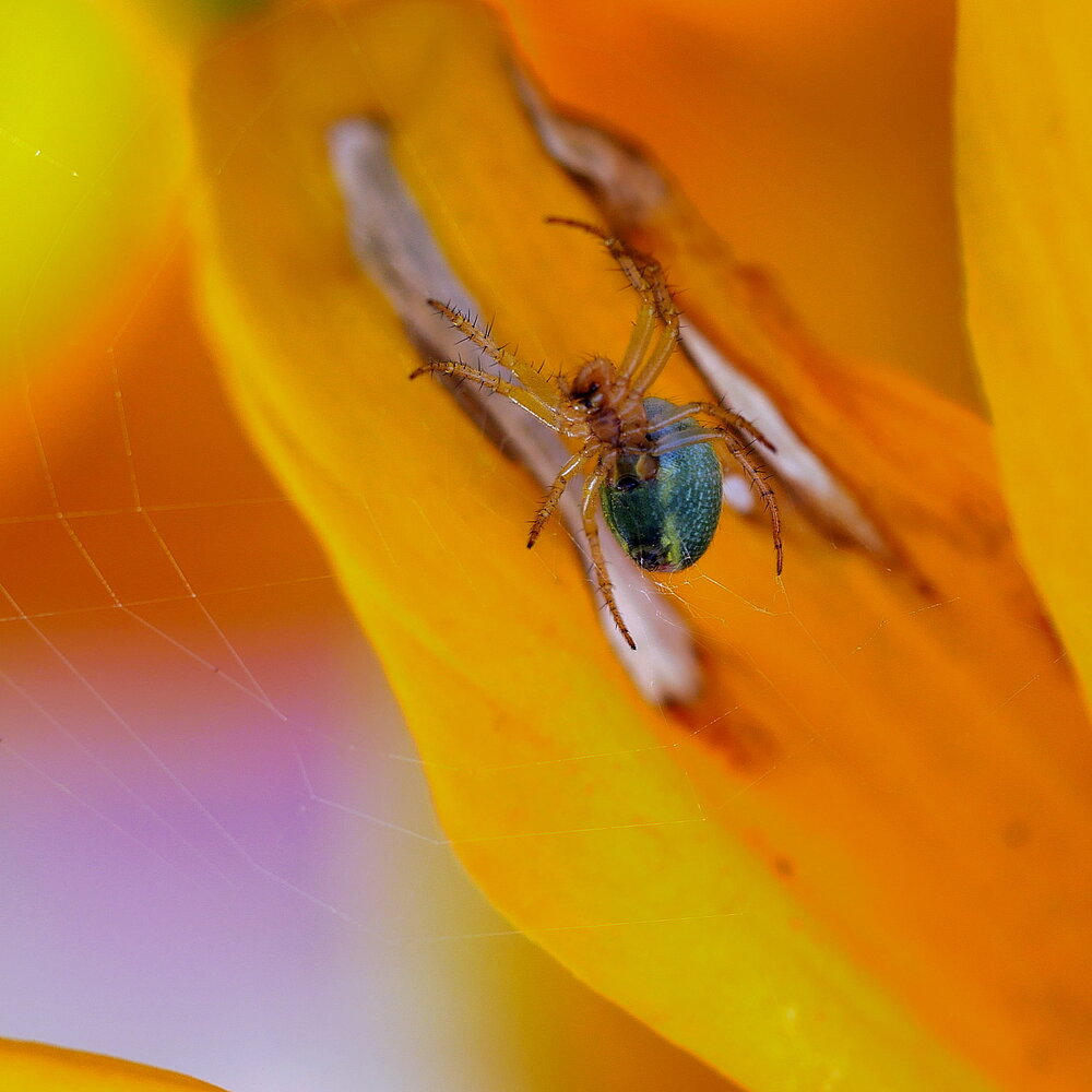 Photograph by Владимир Лобанов