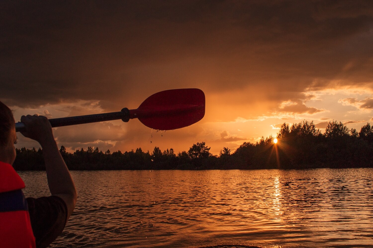 Photo #13977595