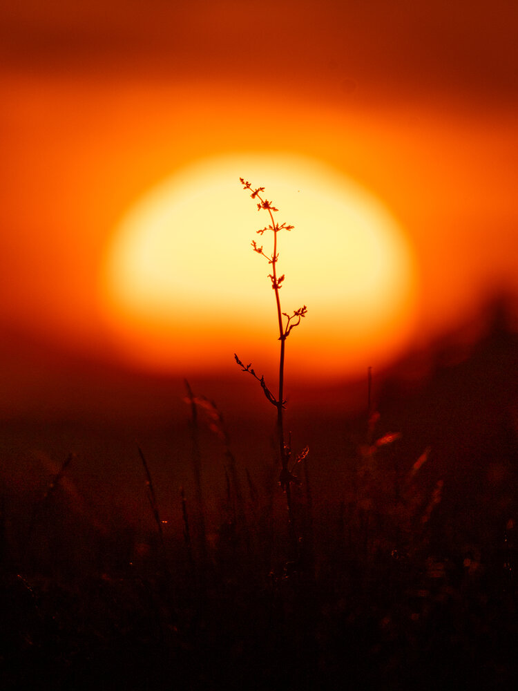 Photograph by Игорь Криулин