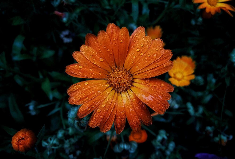 Photograph by артём мякинник