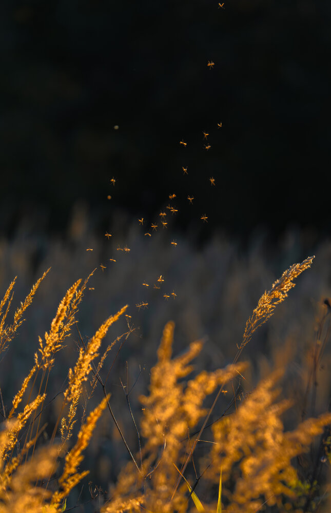 Photograph by Герман Крупенин