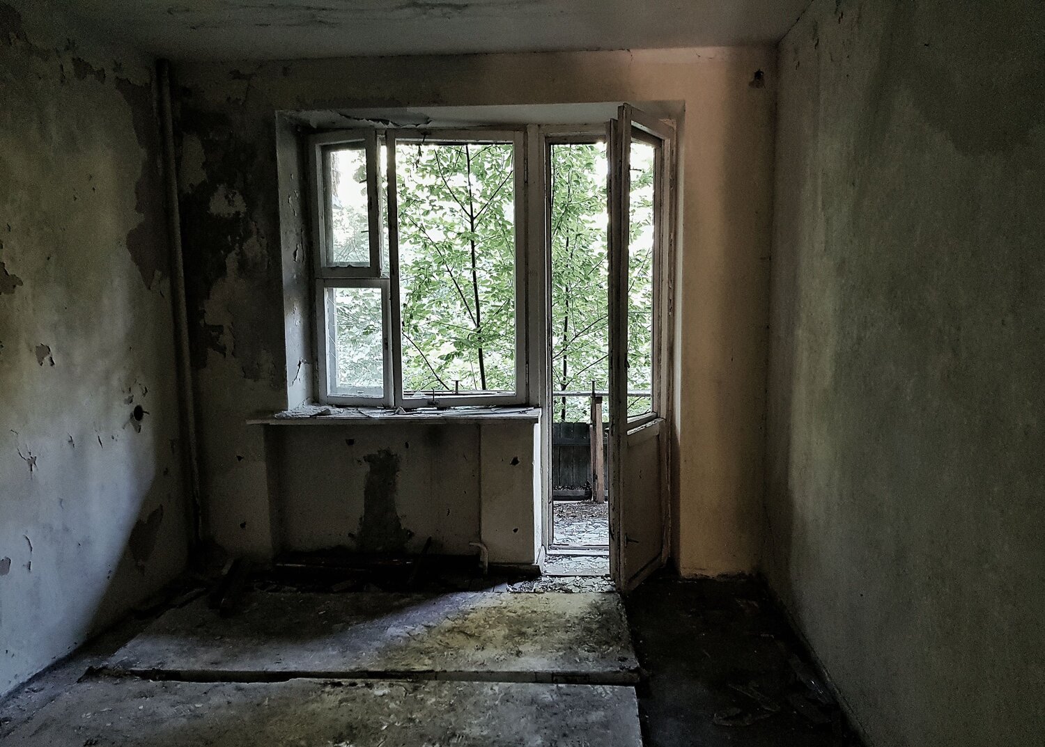 Photo #13977777