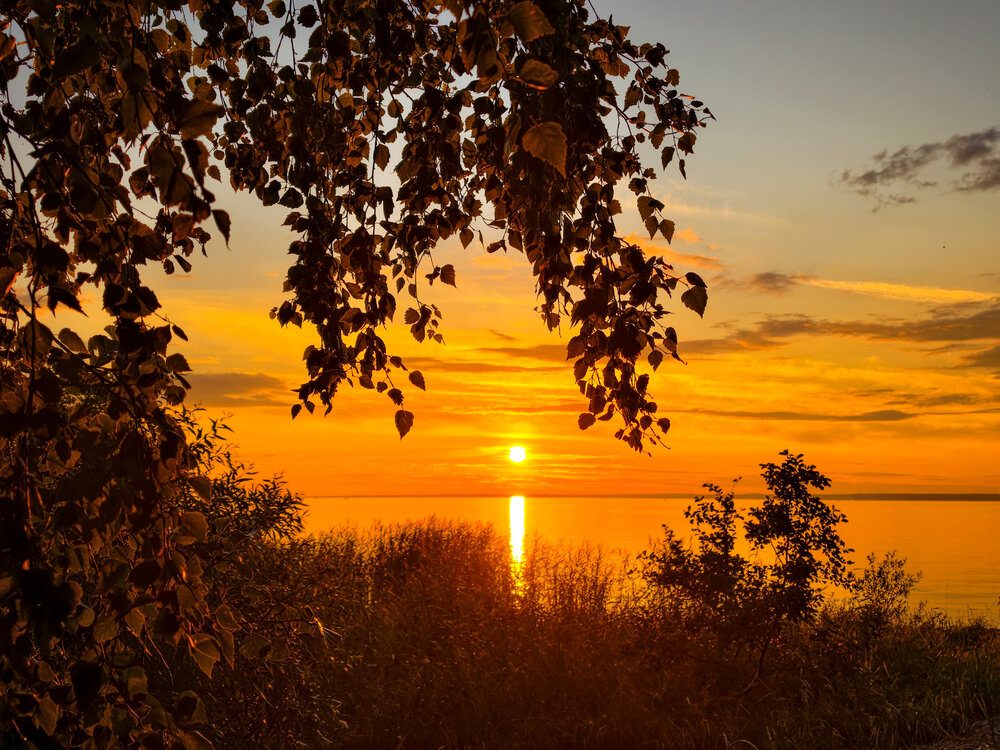 Photograph by Татьяна Бойцова