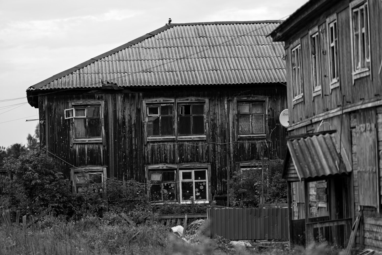 Photo #13977816